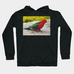 Australian King Parrot Hoodie